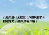 八級風是什么程度（八級風有多大的破壞力 八級風危害介紹）