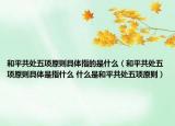 和平共處五項(xiàng)原則具體指的是什么（和平共處五項(xiàng)原則具體是指什么 什么是和平共處五項(xiàng)原則）
