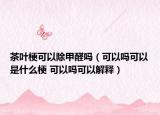 茶葉?？梢猿兹﹩幔梢詥峥梢允鞘裁垂?可以嗎可以解釋）