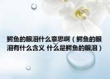 鱷魚的眼淚什么意思?。{魚的眼淚有什么含義 什么是鱷魚的眼淚）