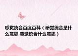 感覺統(tǒng)合百度百科（感覺統(tǒng)合是什么意思 感覺統(tǒng)合什么意思）