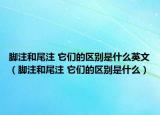 腳注和尾注 它們的區(qū)別是什么英文（腳注和尾注 它們的區(qū)別是什么）