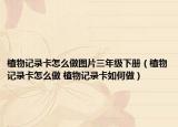 植物記錄卡怎么做圖片三年級下冊（植物記錄卡怎么做 植物記錄卡如何做）