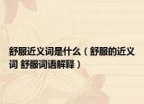舒服近義詞是什么（舒服的近義詞 舒服詞語解釋）