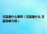 甘藍是什么草藥（甘藍是什么 甘藍簡單介紹）