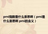 pmi指數(shù)是什么意思啊（pmi是什么意思啊 pmi的含義）