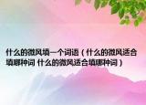 什么的微風(fēng)填一個(gè)詞語(yǔ)（什么的微風(fēng)適合填哪種詞 什么的微風(fēng)適合填哪種詞）
