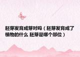 胚芽發(fā)育成芽對嗎（胚芽發(fā)育成了植物的什么 胚芽是哪個部位）