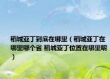 稻城亞丁到底在哪里（稻城亞丁在哪里哪個(gè)省 稻城亞丁位置在哪里呢）