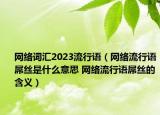 網(wǎng)絡(luò)詞匯2023流行語（網(wǎng)絡(luò)流行語屌絲是什么意思 網(wǎng)絡(luò)流行語屌絲的含義）
