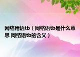網(wǎng)絡用語tb（網(wǎng)絡語tb是什么意思 網(wǎng)絡語tb的含義）