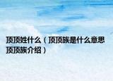 頂頂姓什么（頂頂族是什么意思 頂頂族介紹）