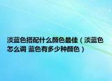 淡藍色搭配什么顏色最佳（淡藍色怎么調(diào) 藍色有多少種顏色）
