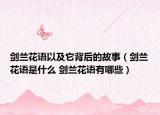 劍蘭花語以及它背后的故事（劍蘭花語是什么 劍蘭花語有哪些）