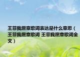 王菲我愿意歌詞表達是什么意思（王菲我愿意歌詞 王菲我愿意歌詞全文）