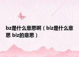 bz是什么意思?。╞lz是什么意思 blz的意思）