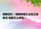 綠藤百科（綠藤養(yǎng)殖方法和注意事項(xiàng) 綠藤怎么養(yǎng)殖）