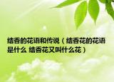 結香的花語和傳說（結香花的花語是什么 結香花又叫什么花）