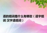 適的組詞是什么有哪些（適字組詞 漢字適組詞）