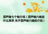 葫蘆娃七個娃介紹（葫蘆娃六娃是什么意思 關于葫蘆娃六娃的介紹）
