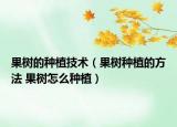 果樹的種植技術(shù)（果樹種植的方法 果樹怎么種植）