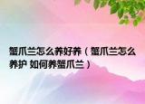 蟹爪蘭怎么養(yǎng)好養(yǎng)（蟹爪蘭怎么養(yǎng)護 如何養(yǎng)蟹爪蘭）