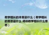 教學(xué)相長(zhǎng)的本意是什么（教學(xué)相長(zhǎng)的意思是什么 詞語(yǔ)教學(xué)相長(zhǎng)什么意思）