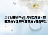 三個月的貓咪可以吃哪些東西（貓的生活習(xí)性 貓咪的生活習(xí)性有哪些）
