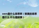 oem是什么意思?。r美的意思是什么 什么是鮮美）