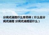 分離式道路什么意思?。ㄊ裁词欠蛛x式道路 分離式道路是什么）