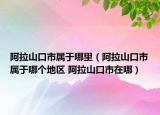 阿拉山口市屬于哪里（阿拉山口市屬于哪個地區(qū) 阿拉山口市在哪）