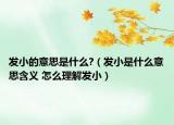 發(fā)小的意思是什么?（發(fā)小是什么意思含義 怎么理解發(fā)?。? /></span></a>
                        <h2><a  title=