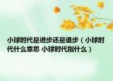小球時代是進步還是退步（小球時代什么意思 小球時代指什么）