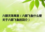 六眼天珠寓意（六眼飛魚什么梗 關(guān)于六眼飛魚的簡(jiǎn)介）