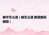 腑字怎么讀（腑怎么讀 腑讀音和解釋）