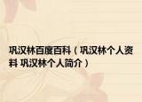 鞏漢林百度百科（鞏漢林個人資料 鞏漢林個人簡介）