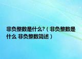 非負(fù)整數(shù)是什么?（非負(fù)整數(shù)是什么 非負(fù)整數(shù)簡述）