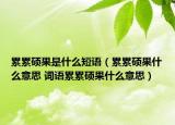 累累碩果是什么短語(yǔ)（累累碩果什么意思 詞語(yǔ)累累碩果什么意思）