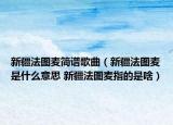 新疆法圖麥簡譜歌曲（新疆法圖麥?zhǔn)鞘裁匆馑?新疆法圖麥指的是啥）