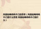 風(fēng)雨如晦雞鳴不已的意思（風(fēng)雨如晦雞鳴不已是什么意思 風(fēng)雨如晦雞鳴不已指什么）