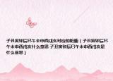 子丑寅卯辰巳午未申酉戌亥對應的臟腑（子丑寅卯辰巳午未申酉戌亥什么意思 子丑寅卯辰巳午未申酉戌亥是什么意思）