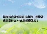 規(guī)模效應理論是誰提出的（規(guī)模效應是指什么 什么是規(guī)模效應）