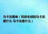 馬卡龍是啥（風靡全球的馬卡龍是什么 馬卡龍是什么）