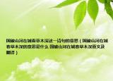 國(guó)破山河在城春草木深這一詩句的意思（國(guó)破山河在城春草木深的意思是什么 國(guó)破山河在城春草木深原文及翻譯）