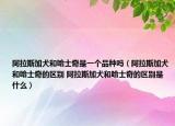 阿拉斯加犬和哈士奇是一個品種嗎（阿拉斯加犬和哈士奇的區(qū)別 阿拉斯加犬和哈士奇的區(qū)別是什么）