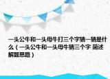 一頭公牛和一頭母牛打三個字猜一猜是什么（一頭公牛和一頭母牛猜三個字 簡述解題思路）