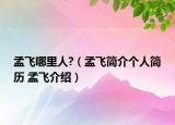 孟飛哪里人?（孟飛簡介個人簡歷 孟飛介紹）