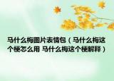 馬什么梅圖片表情包（馬什么梅這個(gè)梗怎么用 馬什么梅這個(gè)梗解釋）