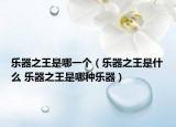 樂器之王是哪一個(gè)（樂器之王是什么 樂器之王是哪種樂器）