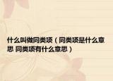 什么叫做同類項(xiàng)（同類項(xiàng)是什么意思 同類項(xiàng)有什么意思）